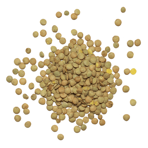 Lentilles vertes bio (origine France) vrac 5 kg
